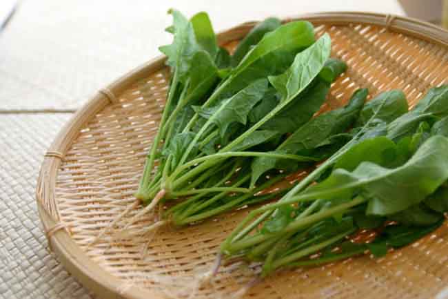पालक